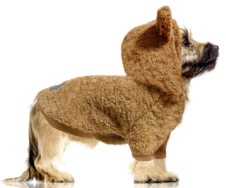4479-3_mp1900-ayden-camel-dog